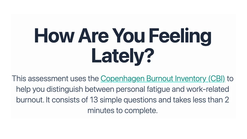 SereneMind burnout assessment tool interface